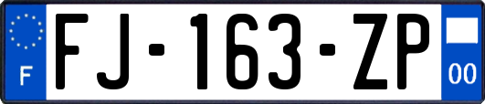 FJ-163-ZP