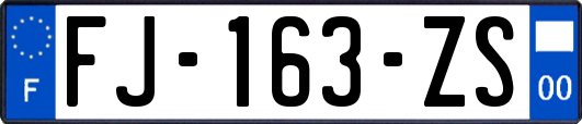 FJ-163-ZS