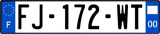 FJ-172-WT