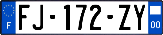 FJ-172-ZY