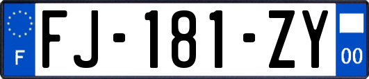 FJ-181-ZY