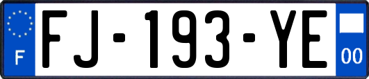 FJ-193-YE