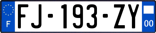 FJ-193-ZY