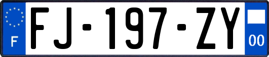 FJ-197-ZY