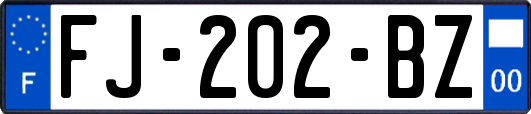 FJ-202-BZ