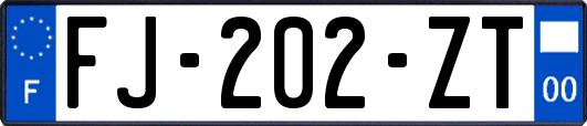 FJ-202-ZT