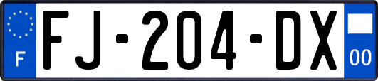 FJ-204-DX