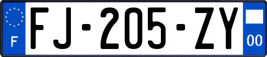 FJ-205-ZY