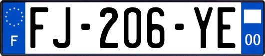 FJ-206-YE