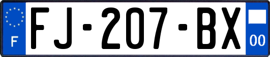 FJ-207-BX