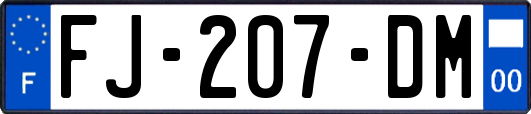 FJ-207-DM