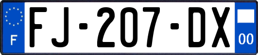 FJ-207-DX