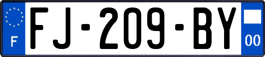 FJ-209-BY