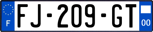 FJ-209-GT
