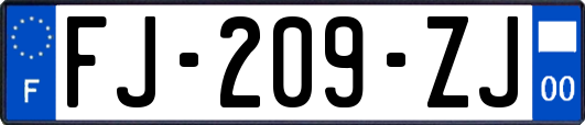 FJ-209-ZJ