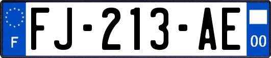 FJ-213-AE