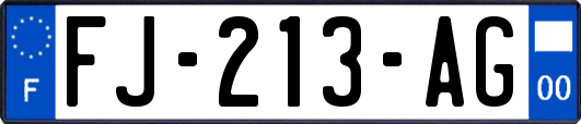 FJ-213-AG