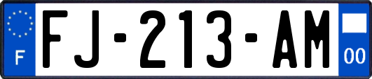 FJ-213-AM