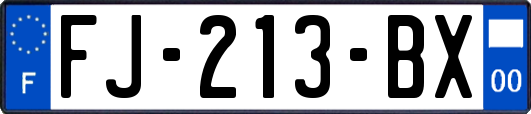 FJ-213-BX