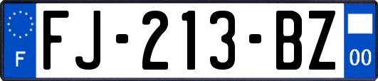 FJ-213-BZ