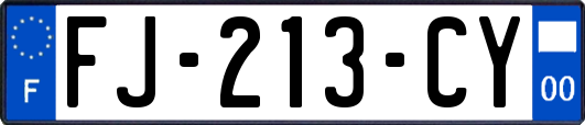 FJ-213-CY