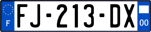 FJ-213-DX