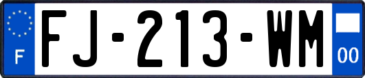 FJ-213-WM