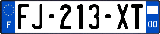 FJ-213-XT