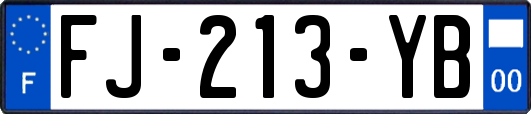 FJ-213-YB