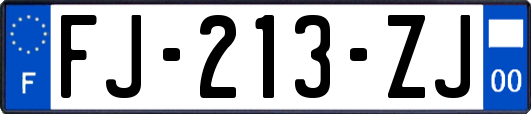 FJ-213-ZJ