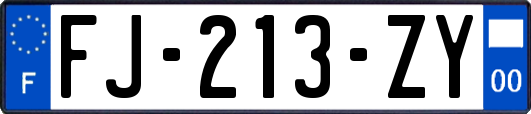 FJ-213-ZY