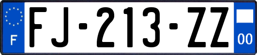 FJ-213-ZZ