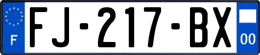 FJ-217-BX