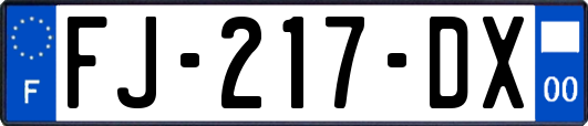 FJ-217-DX