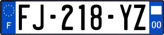 FJ-218-YZ