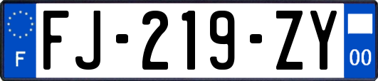 FJ-219-ZY