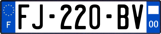 FJ-220-BV