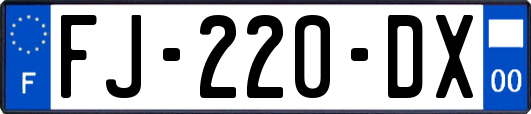 FJ-220-DX