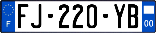 FJ-220-YB