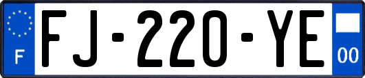 FJ-220-YE