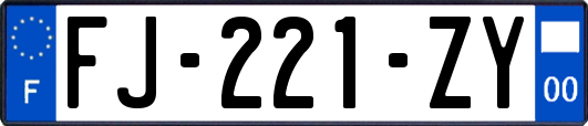 FJ-221-ZY