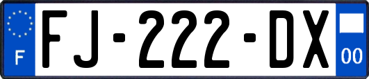 FJ-222-DX