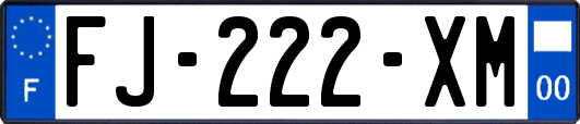 FJ-222-XM