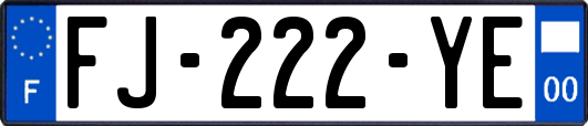 FJ-222-YE