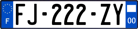 FJ-222-ZY