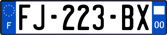 FJ-223-BX