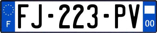 FJ-223-PV