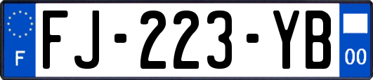 FJ-223-YB