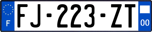 FJ-223-ZT