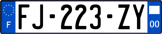 FJ-223-ZY